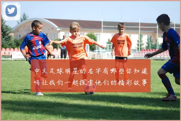 中文足球明星的名字有哪些你知道吗让我们一起探索他们的精彩故事