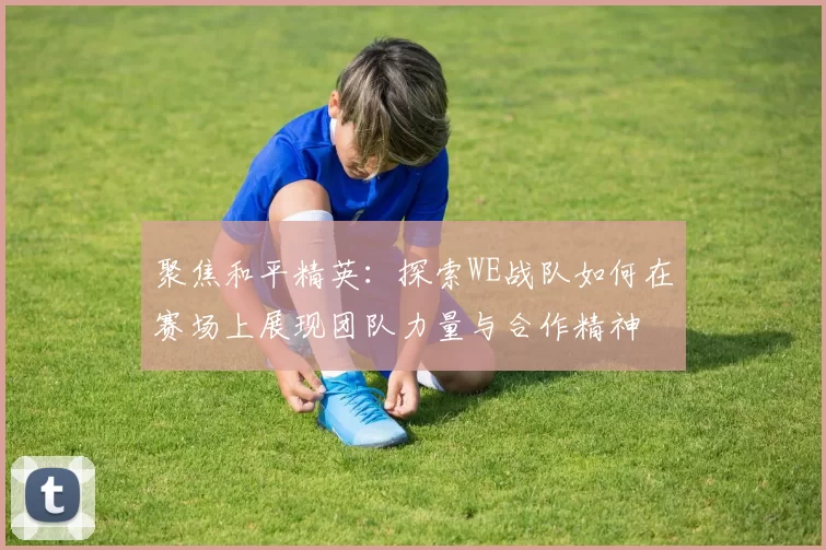 聚焦和平精英：探索WE战队如何在赛场上展现团队力量与合作精神