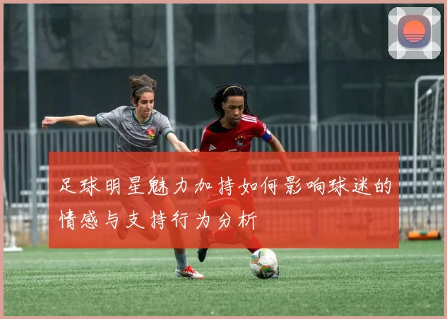 足球明星魅力加持如何影响球迷的情感与支持行为分析