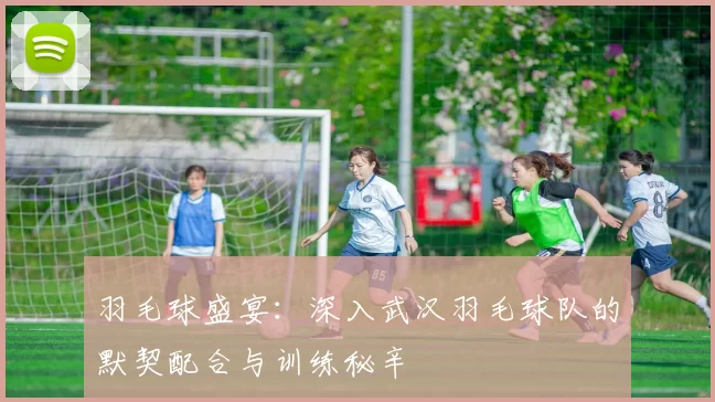 羽毛球盛宴：深入武汉羽毛球队的默契配合与训练秘辛