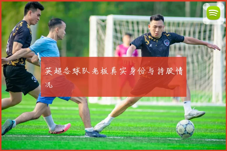 英超各球队老板真实身份与持股情况