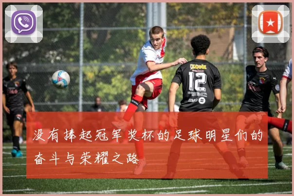 没有捧起冠军奖杯的足球明星们的奋斗与荣耀之路