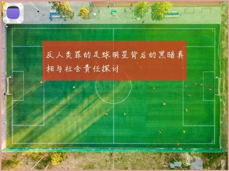 反人类罪的足球明星背后的黑暗真相与社会责任探讨
