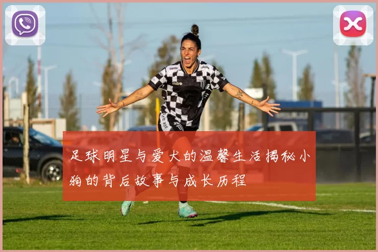 足球明星与爱犬的温馨生活揭秘小狗的背后故事与成长历程