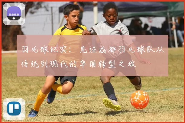 羽毛球纪实：见证成都羽毛球队从传统到现代的华丽转型之旅