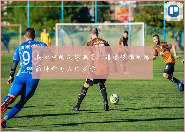 我心中的足球明星：追逐梦想的绿茵传奇与人生启示