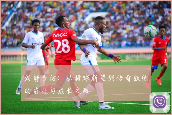 刘静专访：从排球新星到传奇教练的奋斗与成长之路
