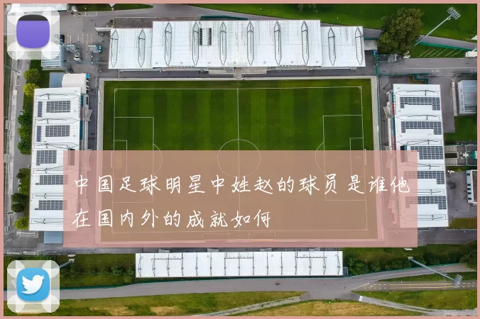 中国足球明星中姓赵的球员是谁他在国内外的成就如何