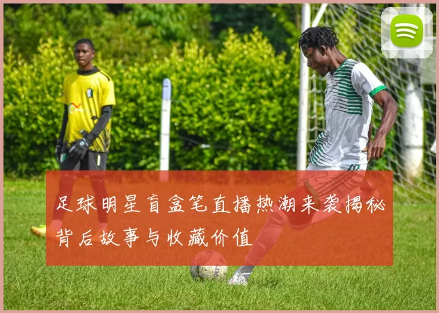 足球明星盲盒笔直播热潮来袭揭秘背后故事与收藏价值