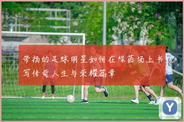 带扬的足球明星如何在绿茵场上书写传奇人生与荣耀篇章