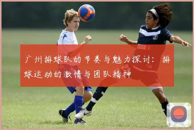 广州排球队的节奏与魅力探讨：排球运动的激情与团队精神