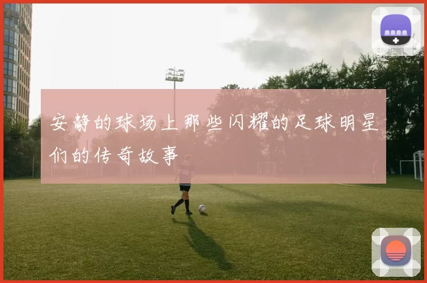安静的球场上那些闪耀的足球明星们的传奇故事