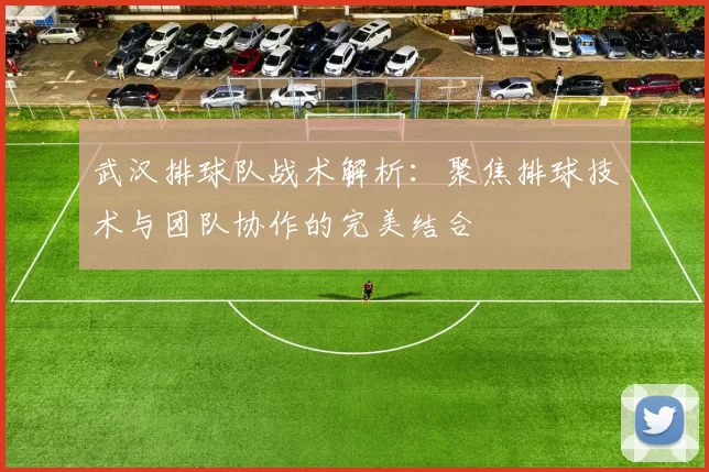 武汉排球队战术解析：聚焦排球技术与团队协作的完美结合