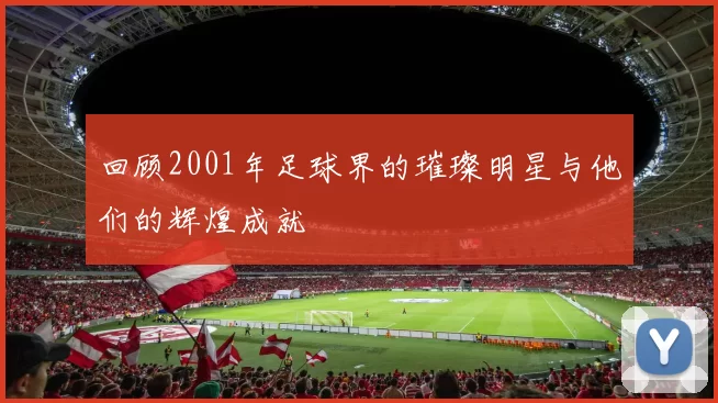 回顾2001年足球界的璀璨明星与他们的辉煌成就