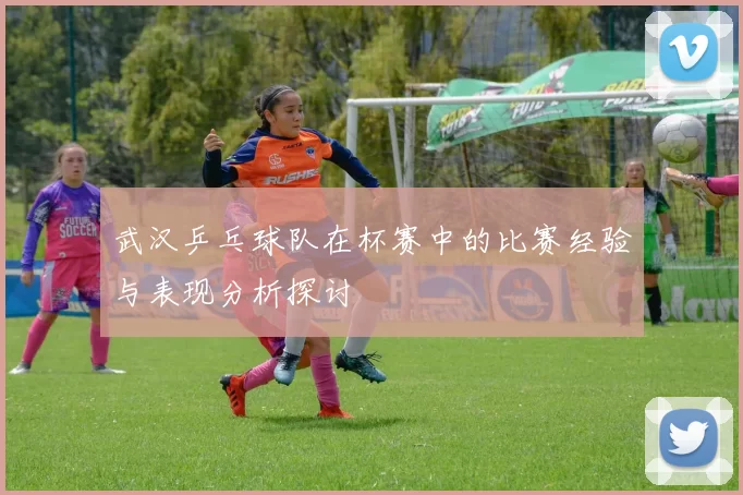 武汉乒乓球队在杯赛中的比赛经验与表现分析探讨
