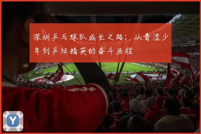 深圳乒乓球队成长之路：从青涩少年到乒坛精英的奋斗历程