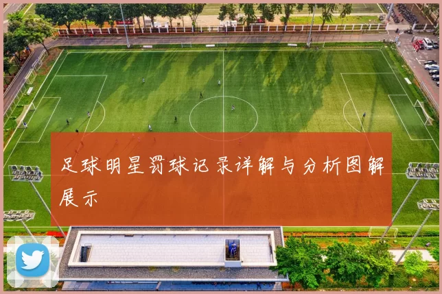 足球明星罚球记录详解与分析图解展示