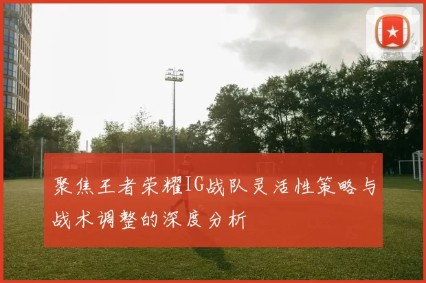 聚焦王者荣耀IG战队灵活性策略与战术调整的深度分析