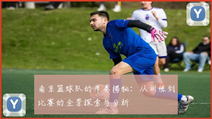 南京篮球队的节奏揭秘：从训练到比赛的全景探索与分析
