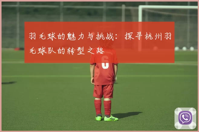 羽毛球的魅力与挑战：探寻杭州羽毛球队的转型之路