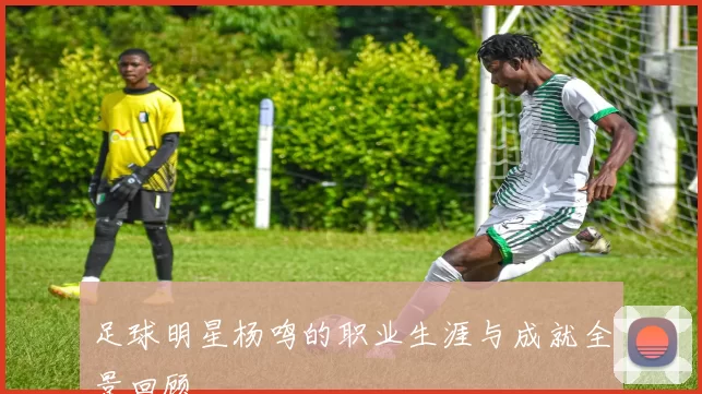 足球明星杨鸣的职业生涯与成就全景回顾